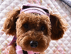 Socks Winter Pet Puppy Accessories For Dogs PT045 XXS/XS/S/M/L Chihuahua Cat Products - Pink/Yellow/Rainbow Striped Hat/Scarf