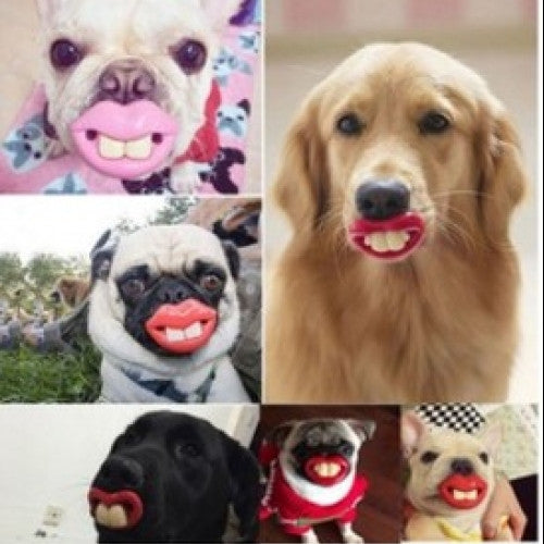 Pacifier Teeth Dummy Pet Chew Toys