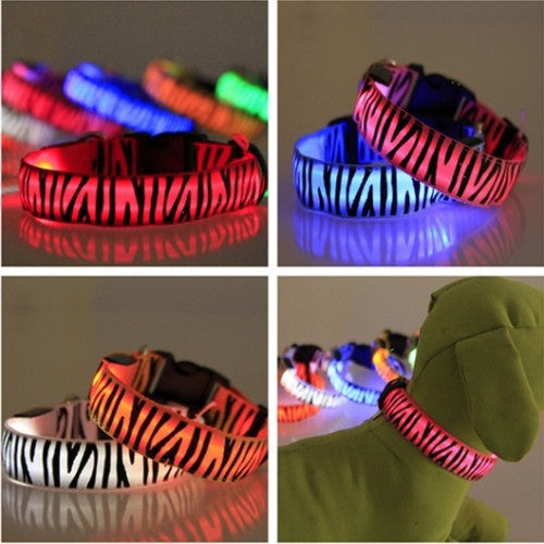 Safety Pet Dogs LED Collar Night Lighted Up Zebra Nylon