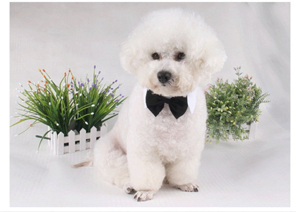 Cats Dog Tie Grooming Pet Supplies