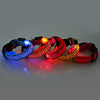 Luminous Pet Decors Productos Para Mascotas dog harness Led og Glow Flashing LED Collar Leopard Print Design Puppy Necklace