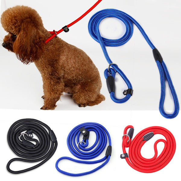 Training Leash Slip Lead Adjustable Traction Collars perro Harness - New Pet Dog Nylon Rope mascotas