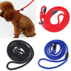 Training Leash Slip Lead Adjustable Traction Collars perro Harness - New Pet Dog Nylon Rope mascotas