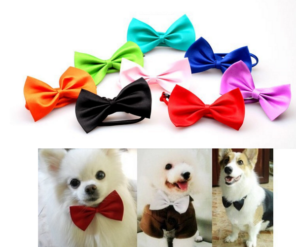 Multi Color Grooming Headdress Neck Bowtie